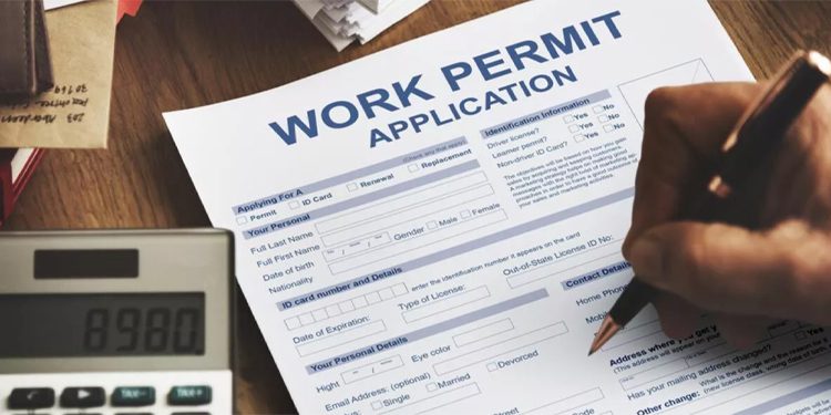 work permit application